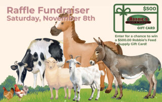 Rally At Robbie's Fundraiser