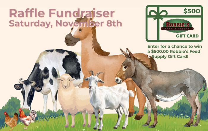 Rally At Robbie's Fundraiser