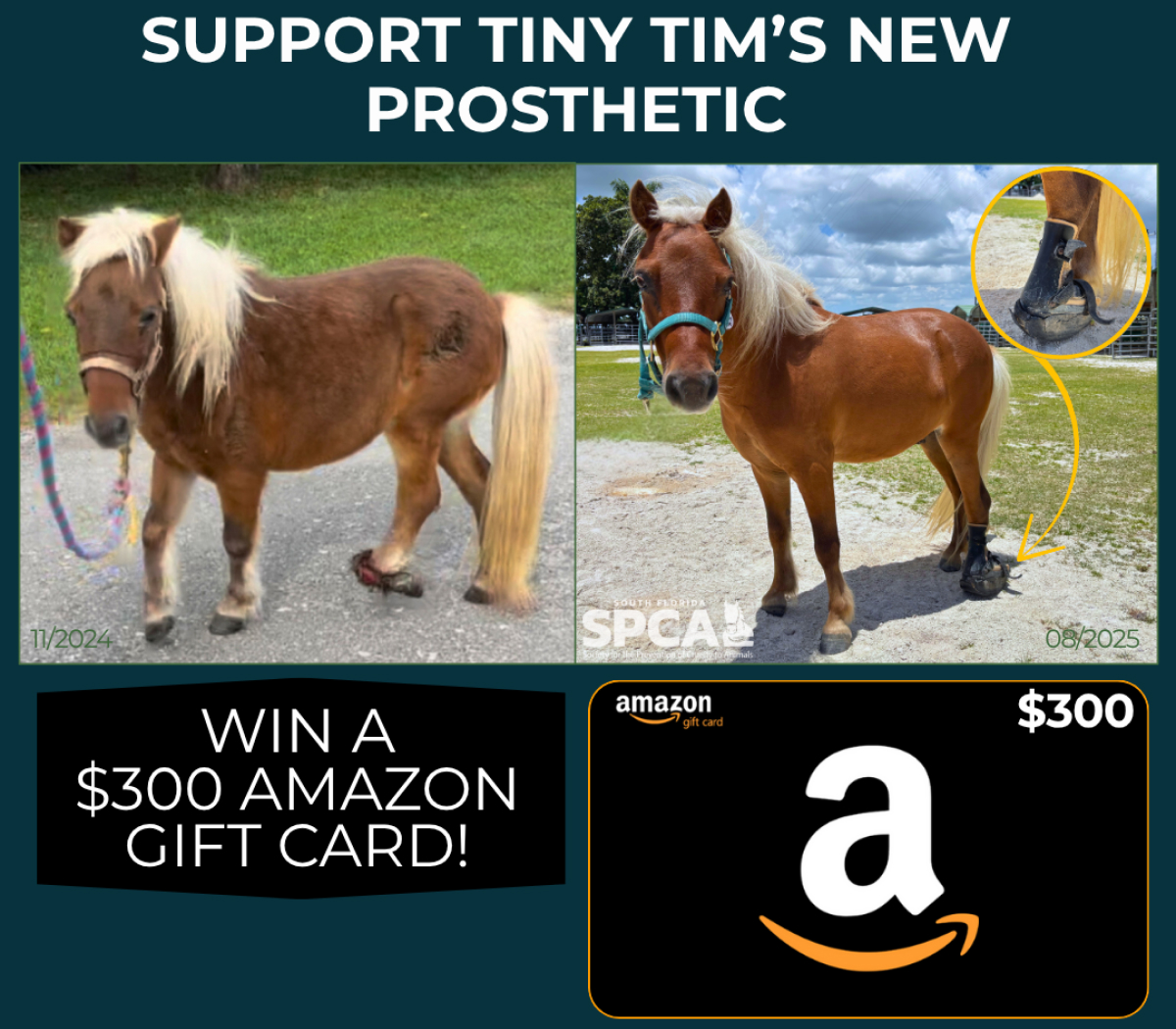 Tiny Tim's Prosthetic