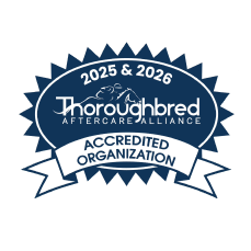 2023-2024-TAA_footerSeal