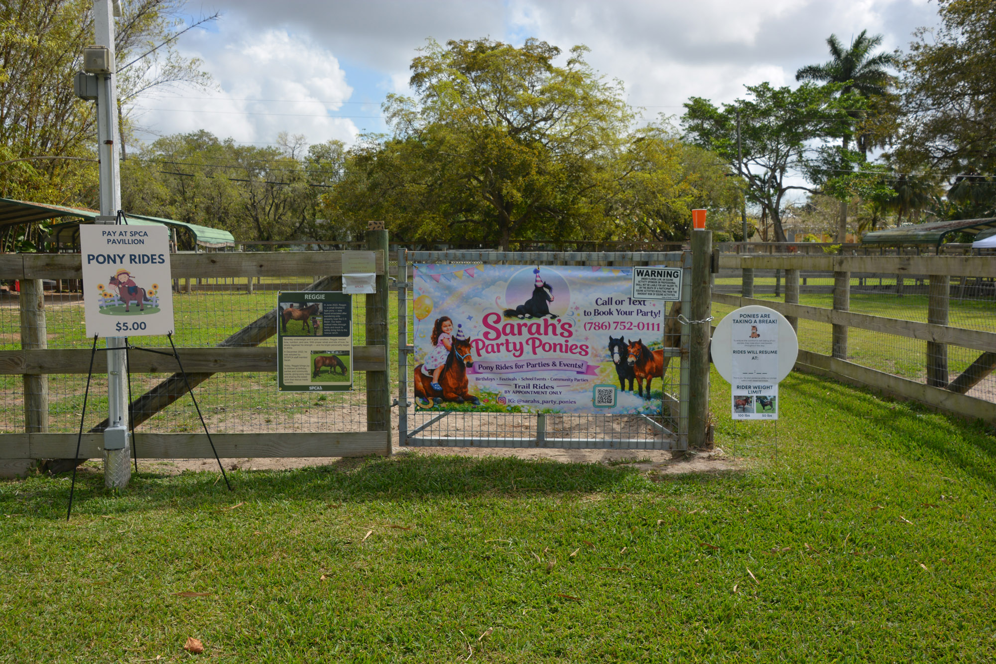 South Florida SPCA Open House Pony Rides