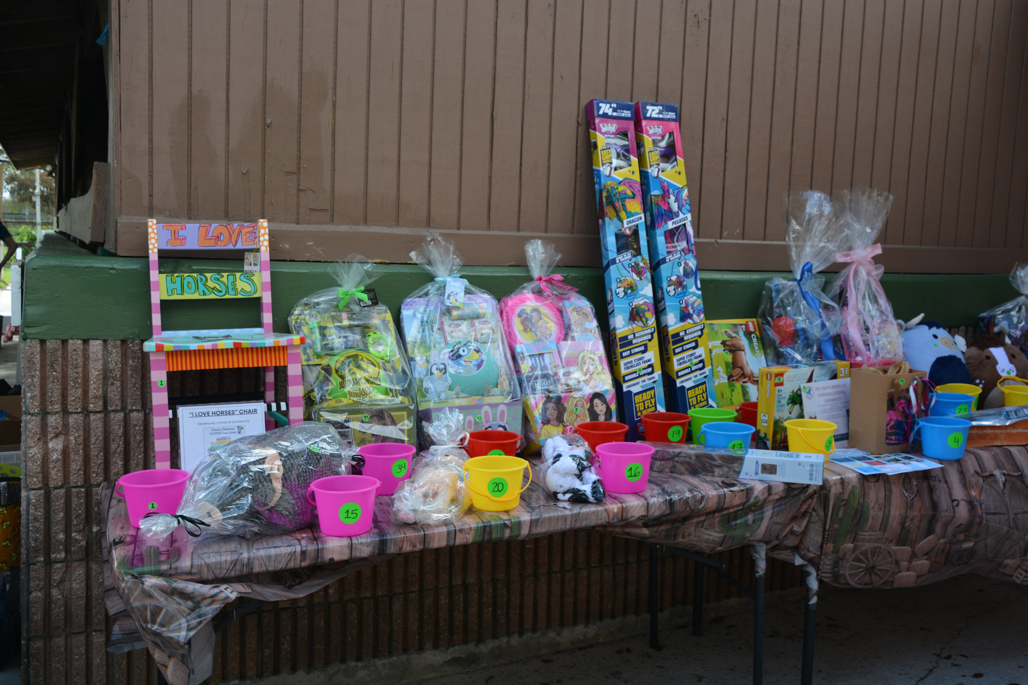 South Florida SPCA Open House Raffle