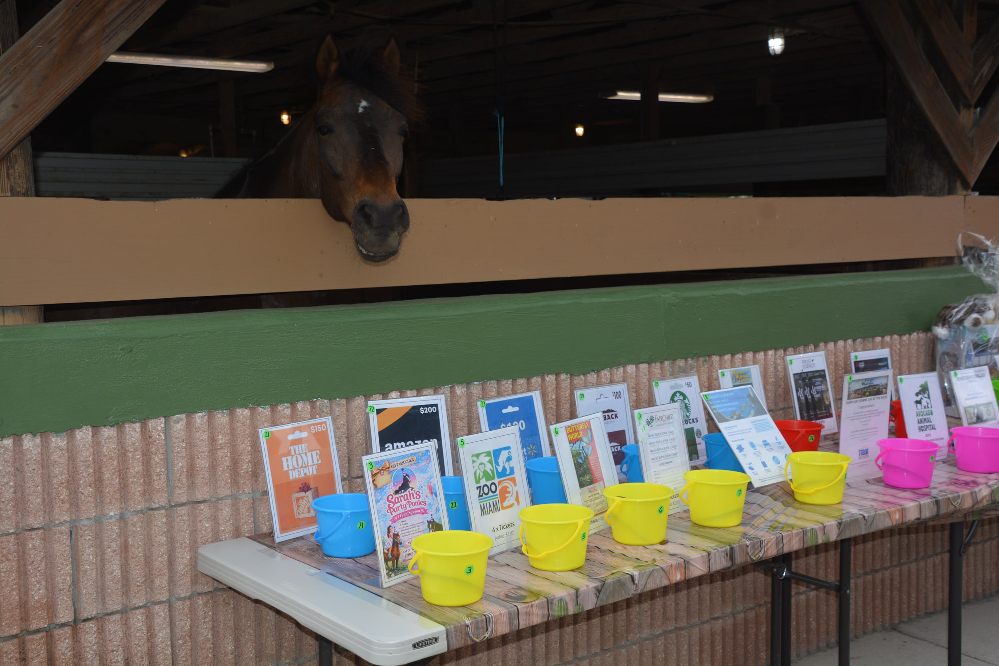 South Florida SPCA Open House Raffles and Rescue!