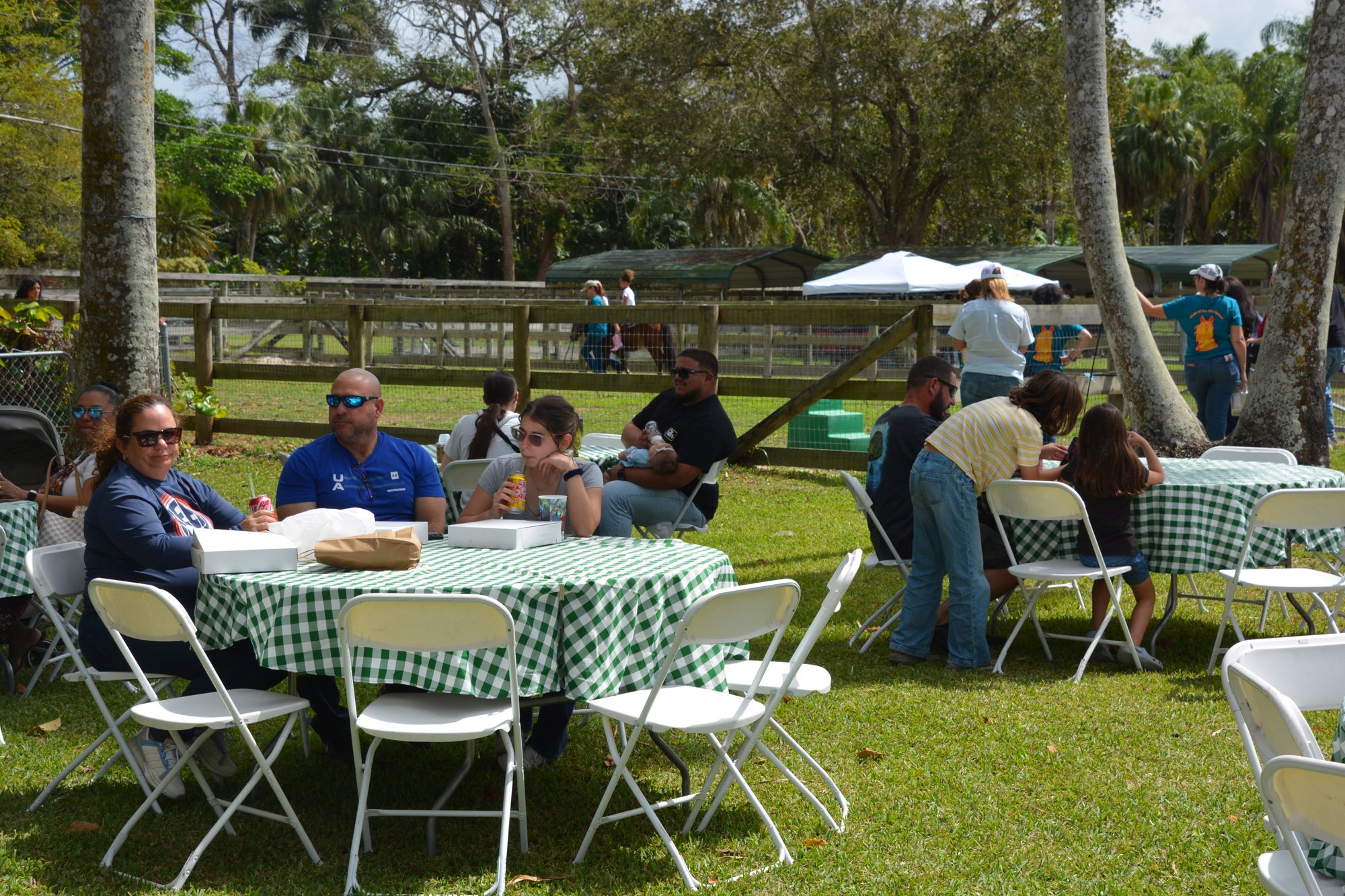 South Florida SPCA Picnic tables