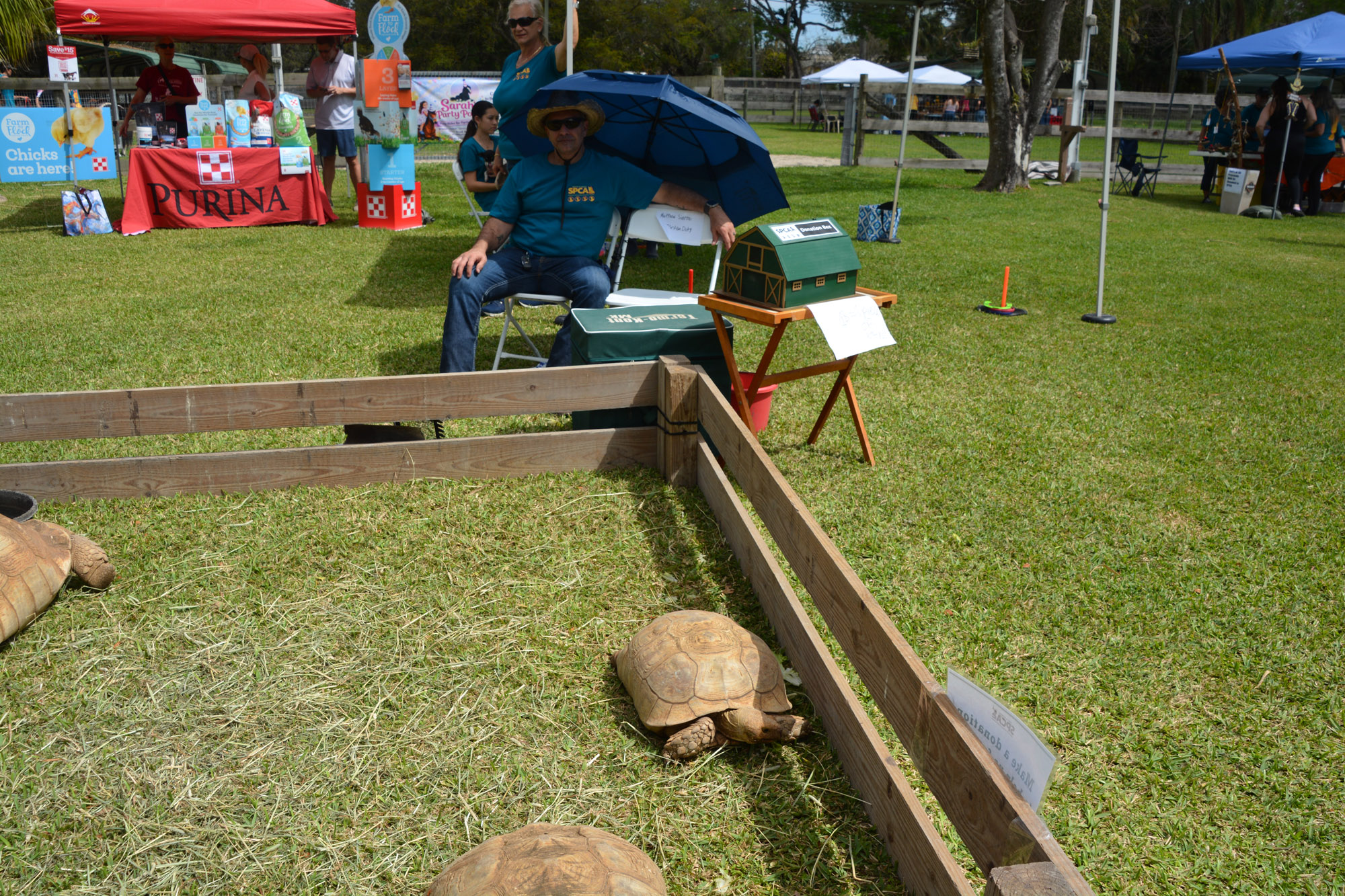 South Florida SPCA Open House Tortoises