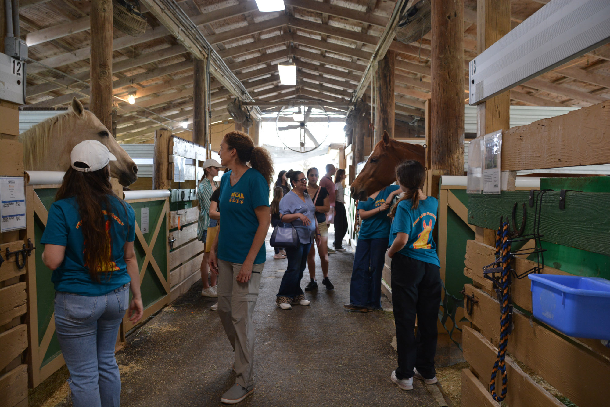 South Florida SPCA Open House Volunteers and the Horses