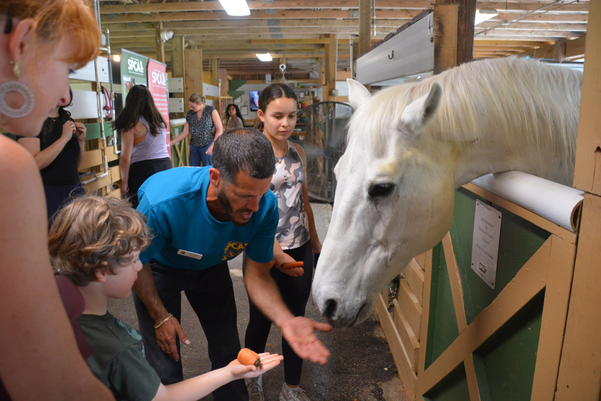 South Florida SPCA Feeding the Horses
