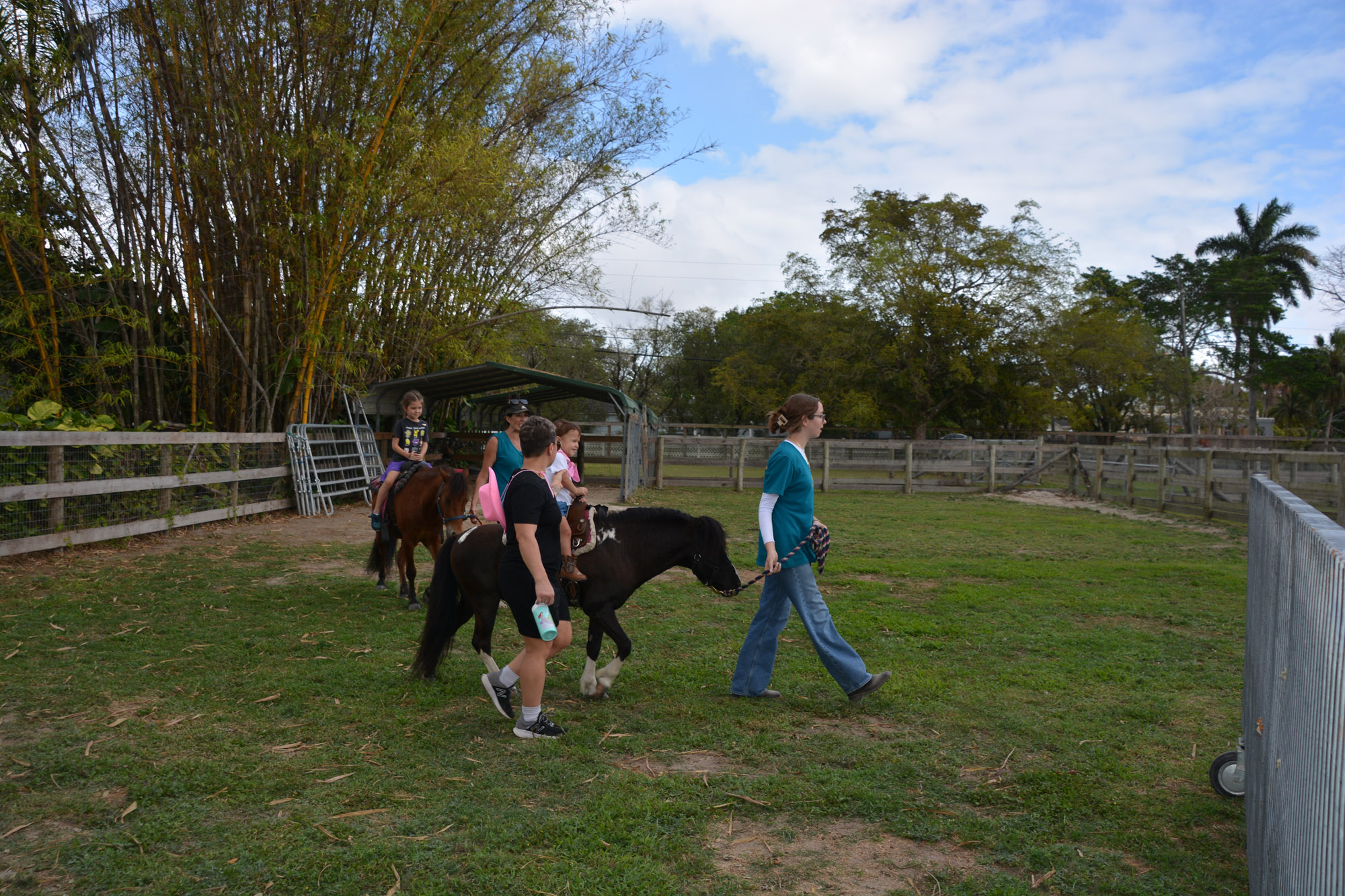South Florida SPCA Open House Pony Rides