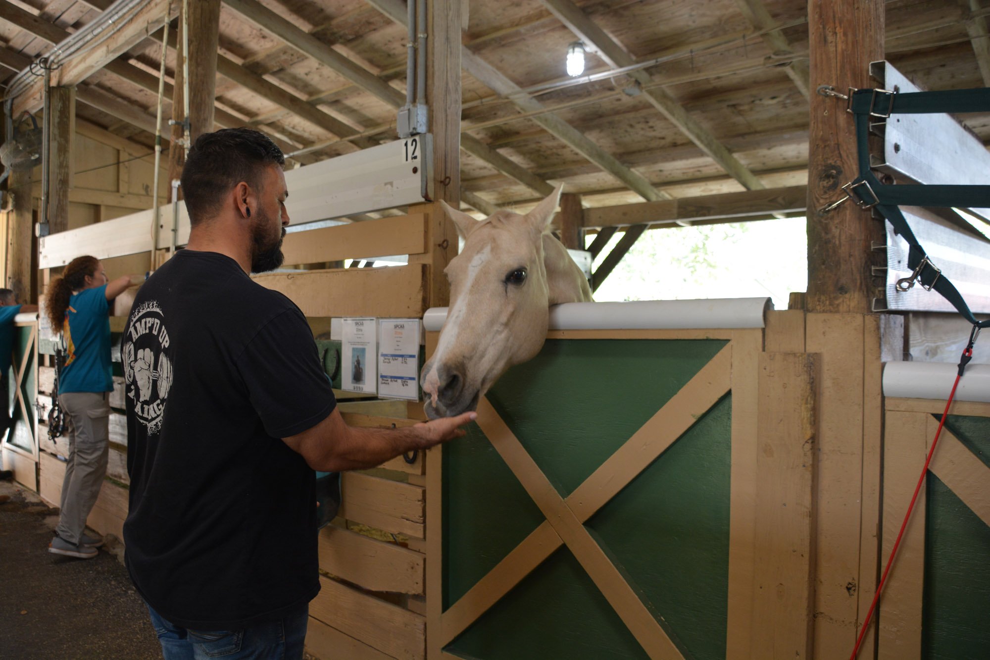 South Florida SPCA Open House Feeding the Horses