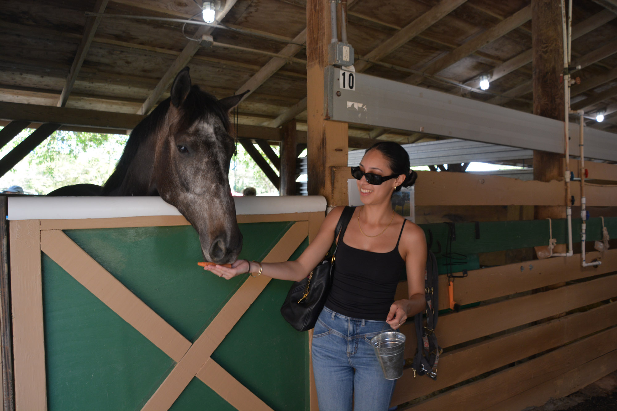 South Florida SPCA Feeding the Horses at Open House