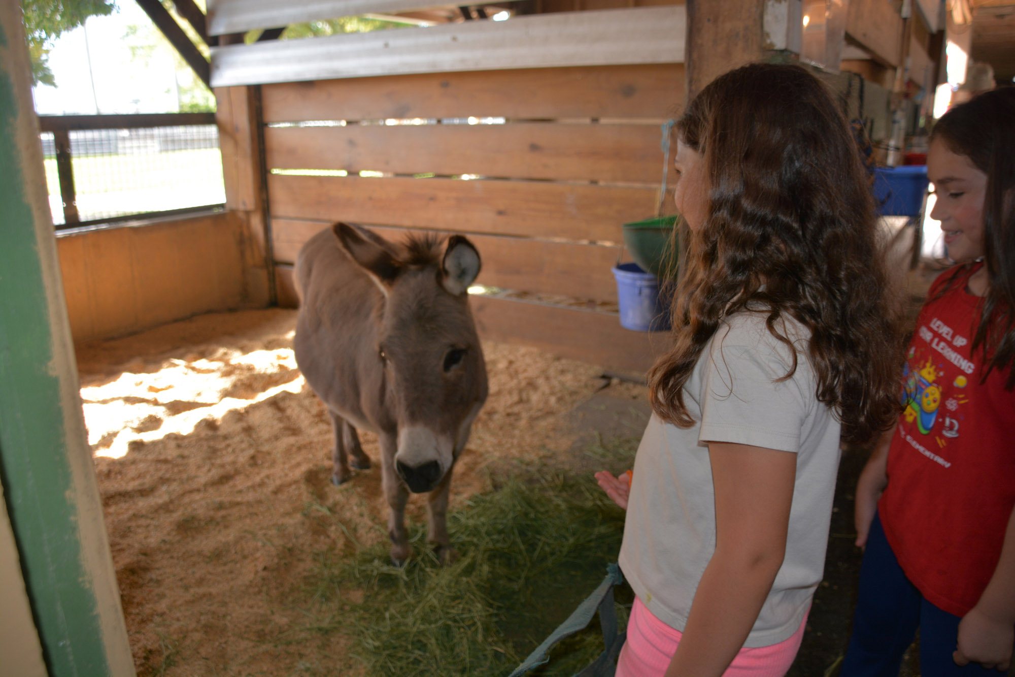 South Florida SPCA Feeding the Donkey