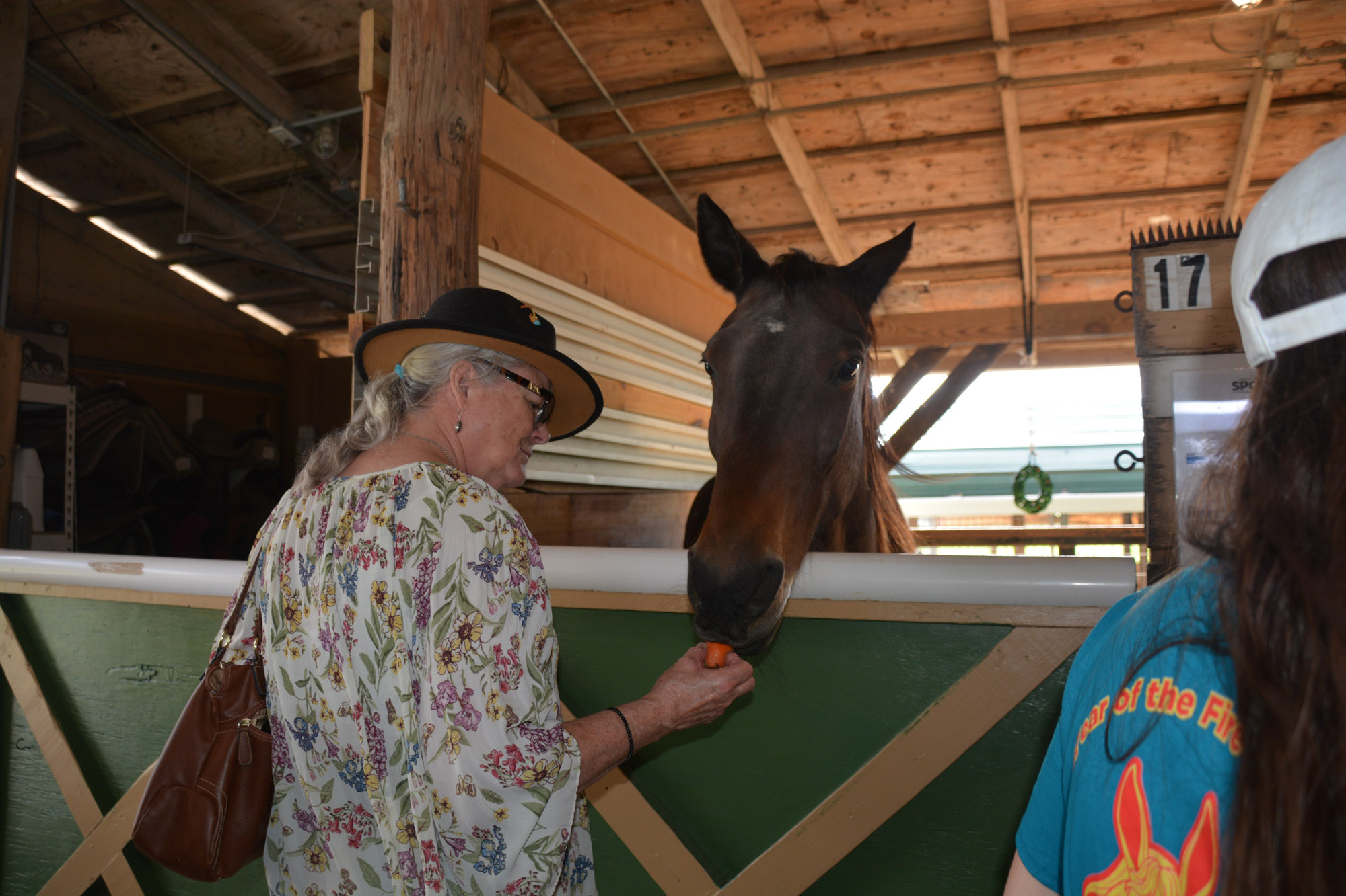 South Florida SPCA Feeding the Horses at Open House