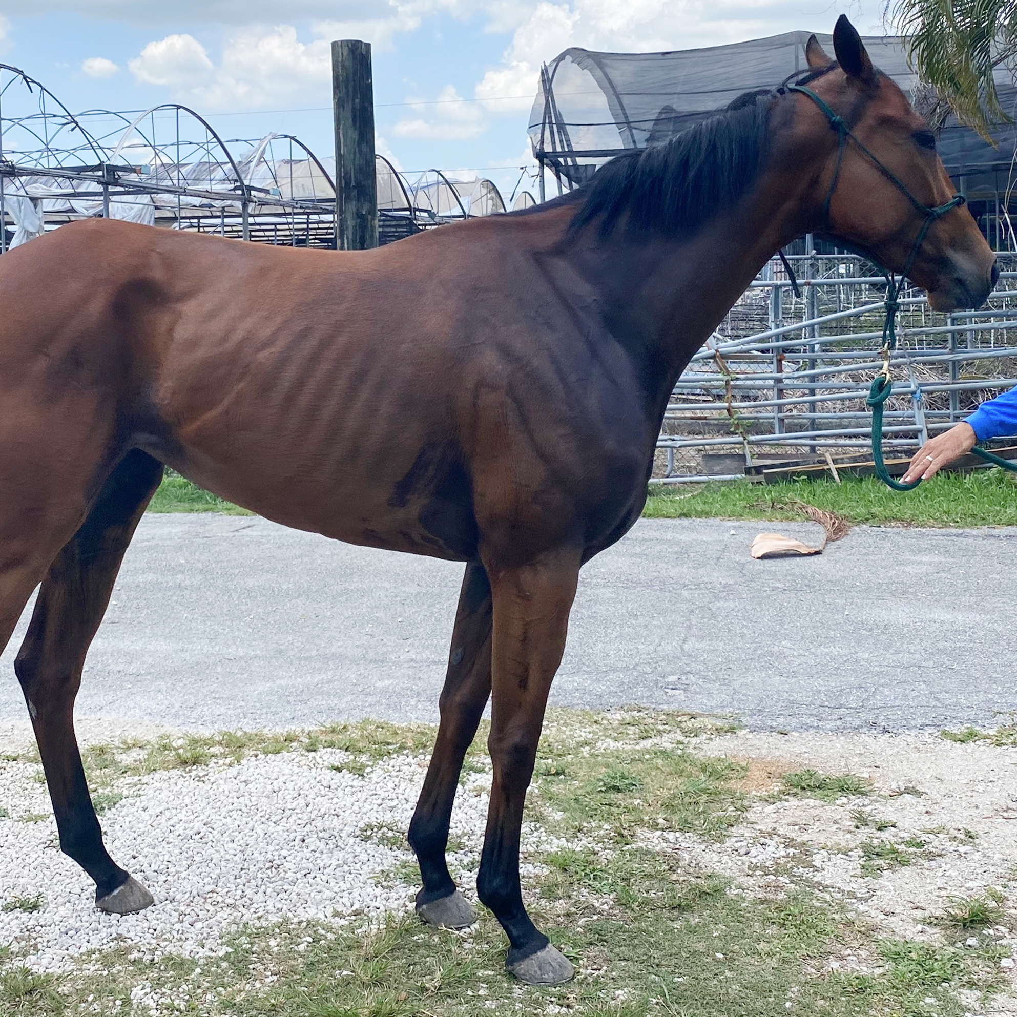 Future Princess is thriving in her new home