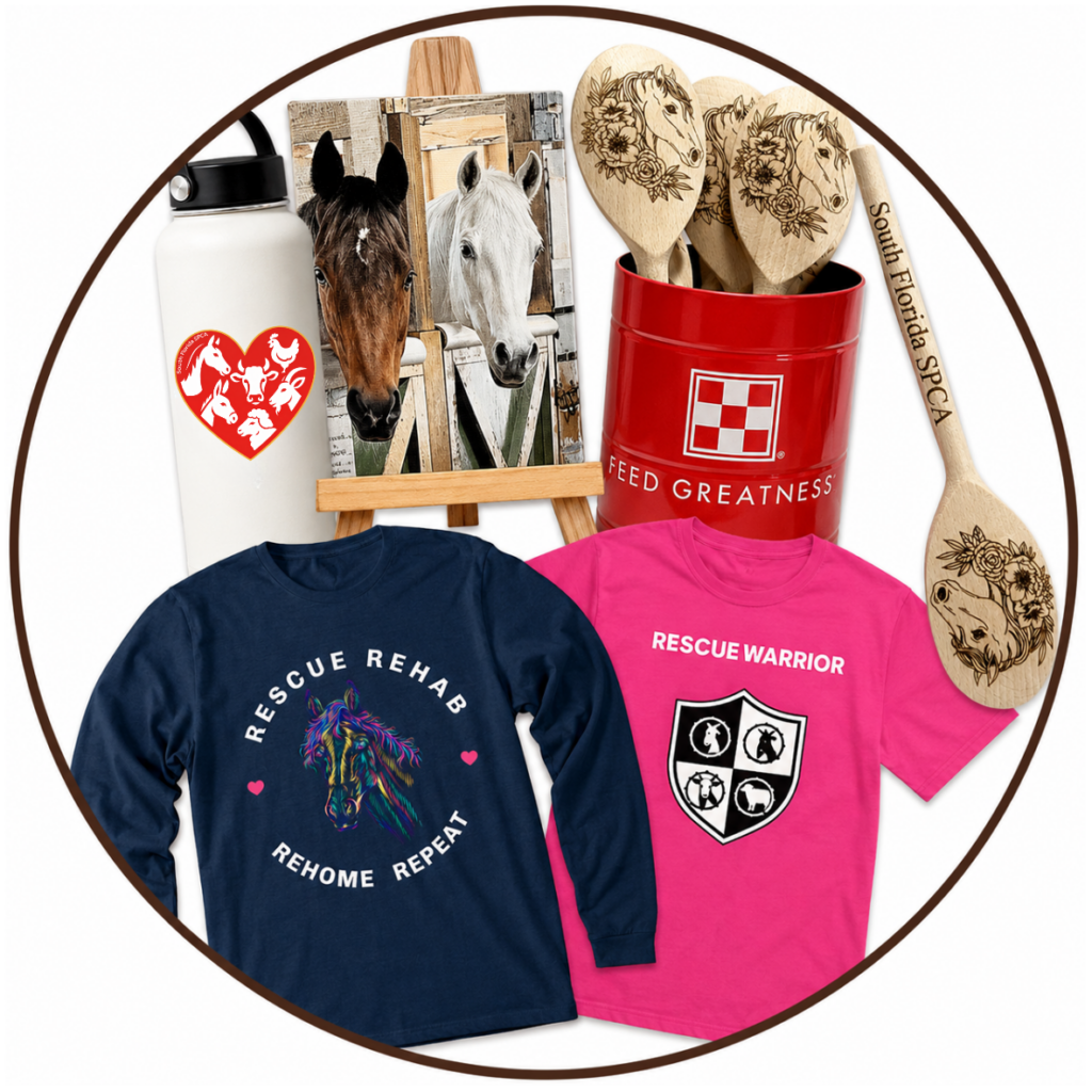 collageShopItems
