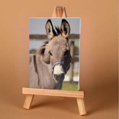 hee-hawMiniCanvasSmallImageBoutiqueHero Mini Canvases for Sale