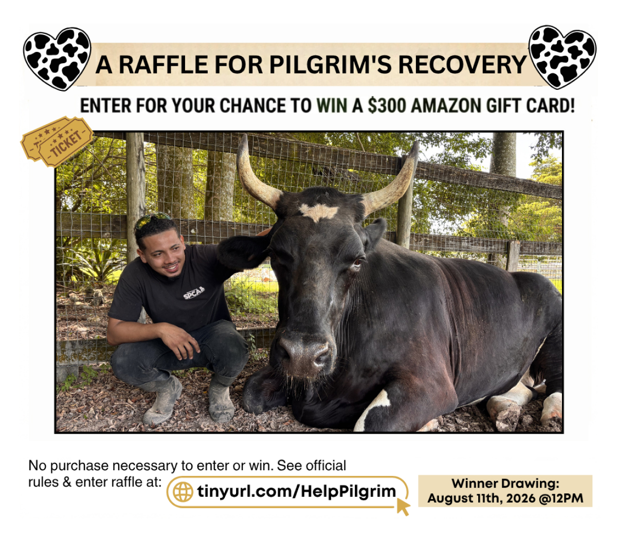 Help Heal Pilgrim the rescue steer