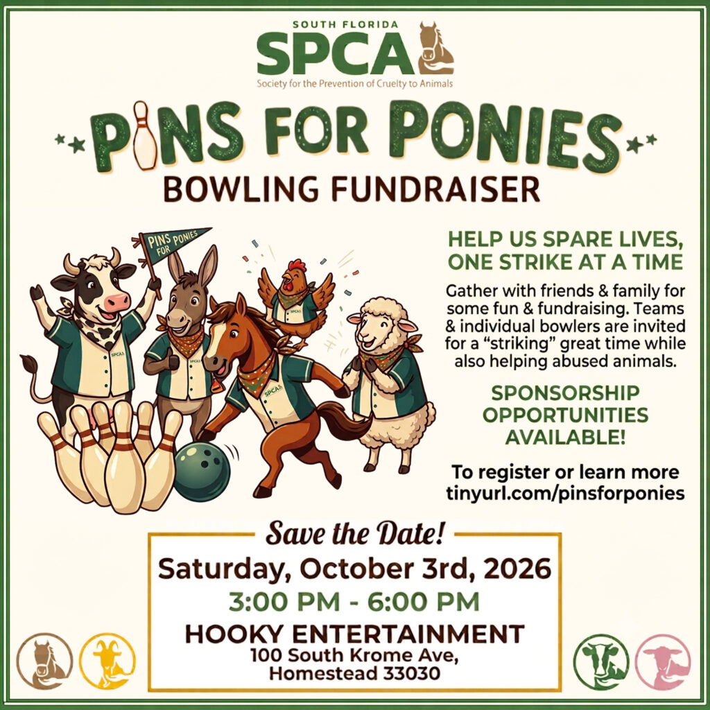 Pins for Ponies - Saturday, October 3rd